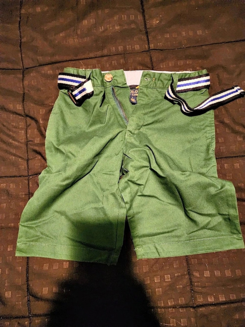 Polo Ralph Lauren Boys Striped Flat Front Shorts in Green